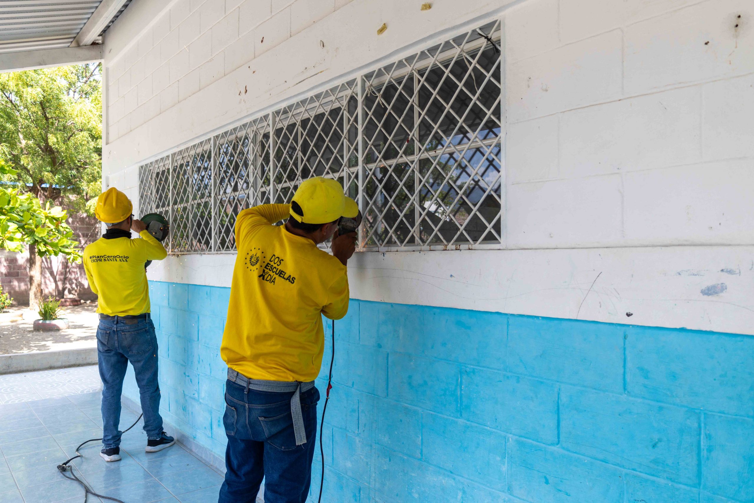 Imagen de la galería