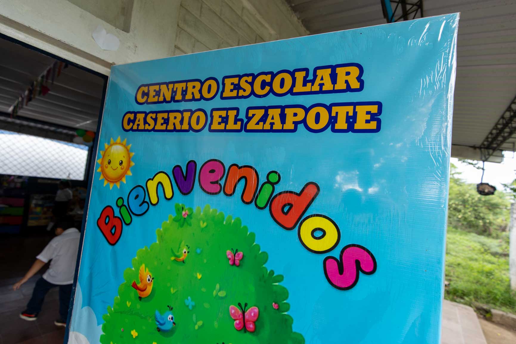 Imagen estado anterior