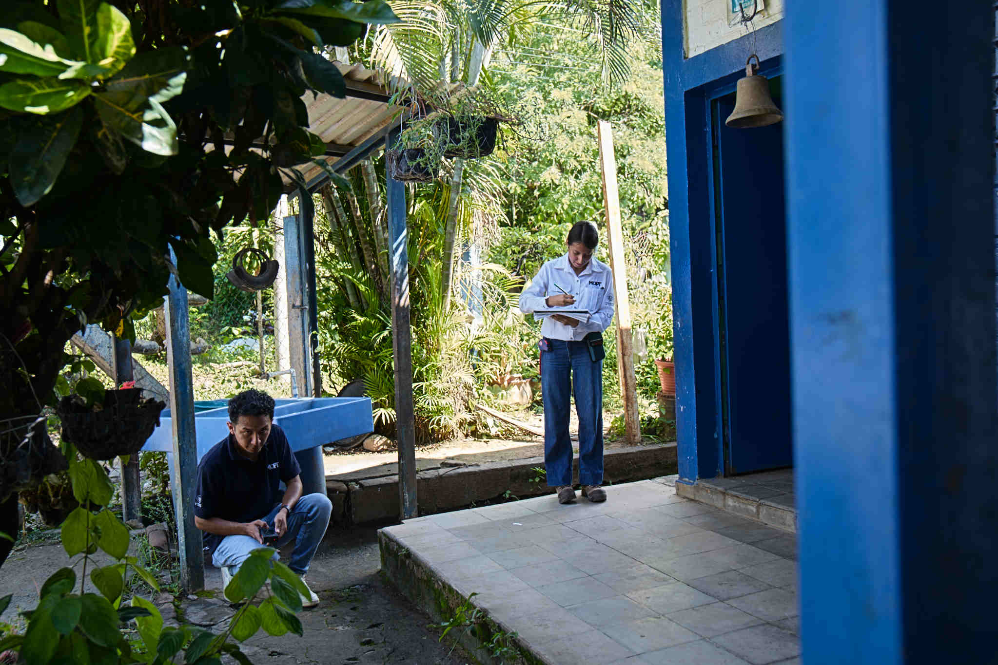 Imagen principal